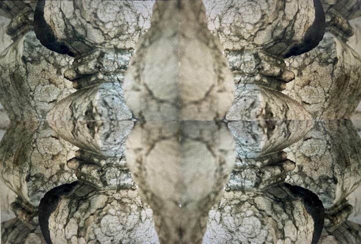 09C1C13A-5C8E-4769-8B23-2E14D645B1D9