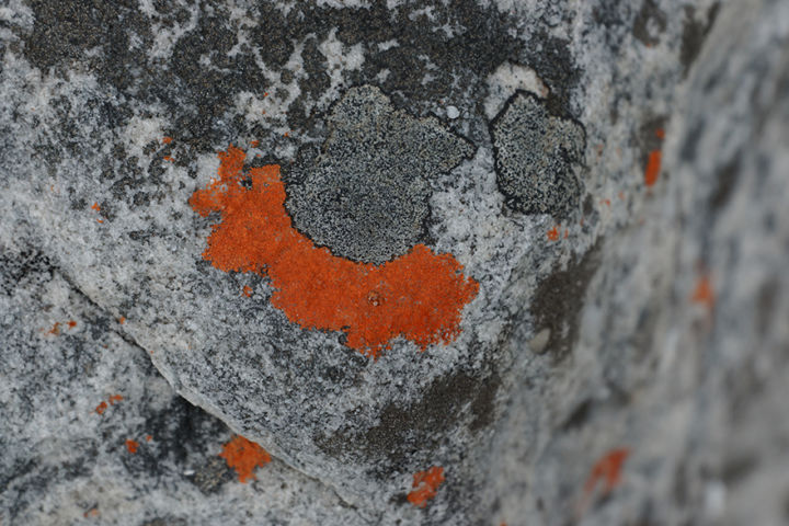 19_10_Orange_Hout Bay_01.jpg