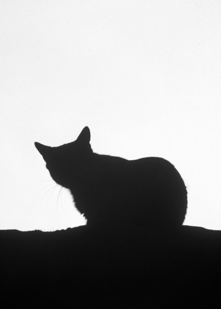 653881CC-6E90-4742-9E81-627E545E66F6