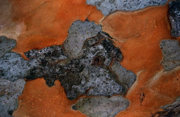 94_7_Orange_CostaRica02.jpg
