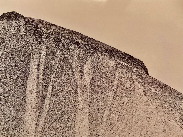 9BF69509-3C3E-45D8-9D93-DCF666541E43