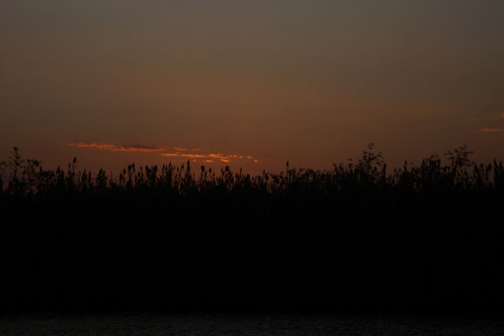 Chobe 2019 1