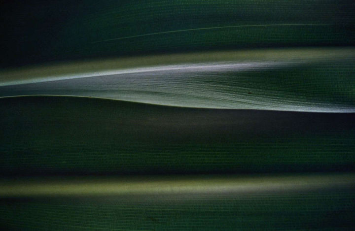 Costa Rica 1994 33