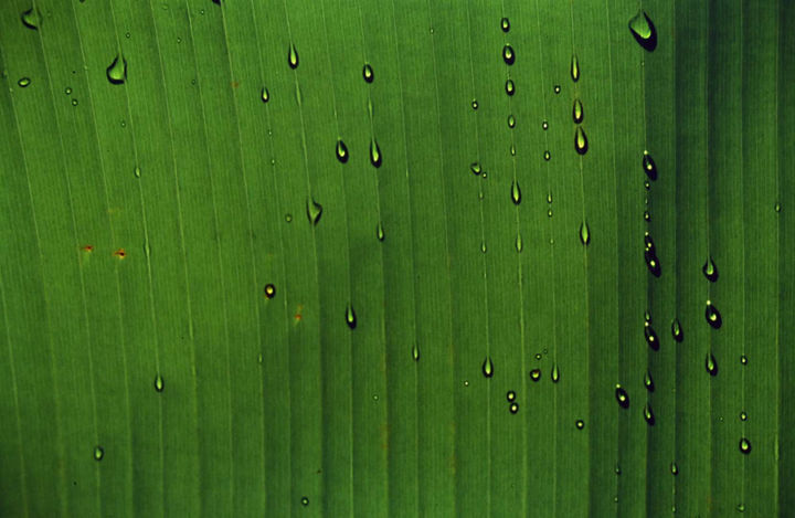 Costa Rica 1994 37