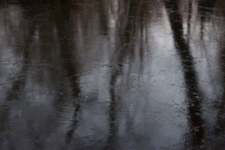 DSC09631