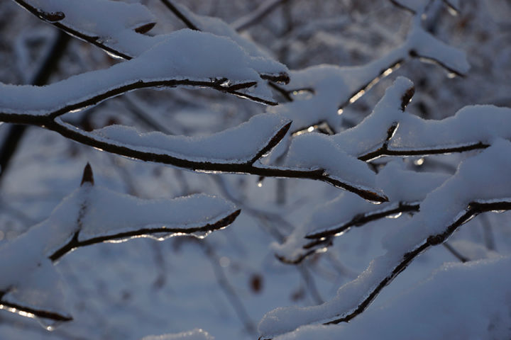 Dreieichenhain-2018-1