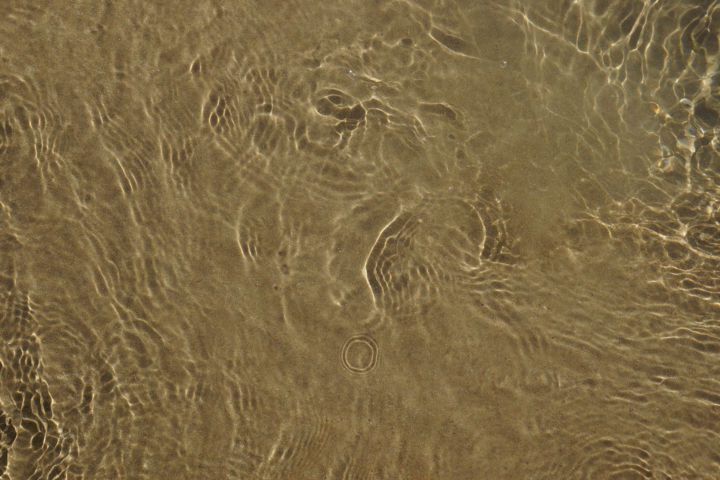 Conil de la Frontera DSC05540